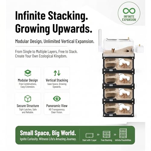 Strata Series - DualView M Ant Nest with Starter kit - size: DualView M