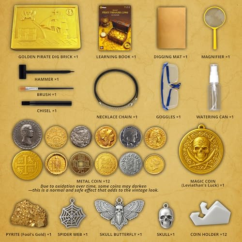 PIBEX Pirate Treasure Coins Dig Kit, 16+ Ancient Metal Coins & Skull Charms