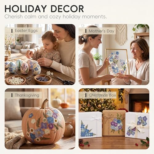 LUXEEASE 140P Hydrangea Dried Pressed Flowers - color: Hydrangea 140p