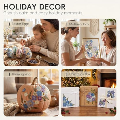 LUXEEASE 140P Hydrangea Dried Pressed Flowers - color: Hydrangea 140p