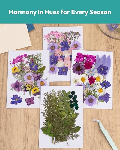 Dried Flowers, Resiners 100Pcs Pressed Flowers for Craft Purple Real Natural Dried Flowers Dry Leaves Kit for DIY Making Crafts Resin Soap Candle Scrapbook Supplies Card Making Jewelry - color: Violet 100pcs