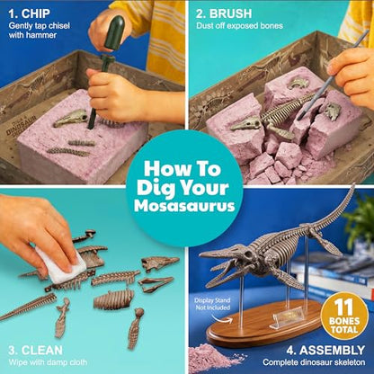4M Dig a Mosasaurus Skeleton Kit for Kids Ages 8-12 – 11 Realistic Bones, STEM Fossil Excavation Set with Hammer, Chisel & Brush, Marine Reptile Digging Kit, Educational Paleontology Gift