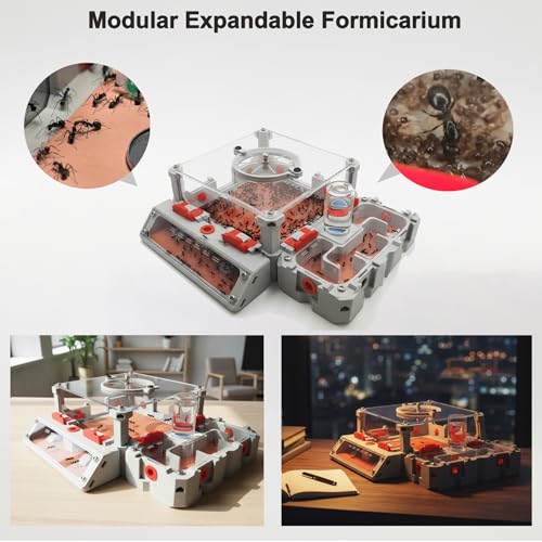Antsir Ant Farm Nest Kit,DIY Science Terrarium with Acrylic Water Tower, Nurturing Room & Large Observation Area for Live Ants (Formicarium Grey) - color: Grey
