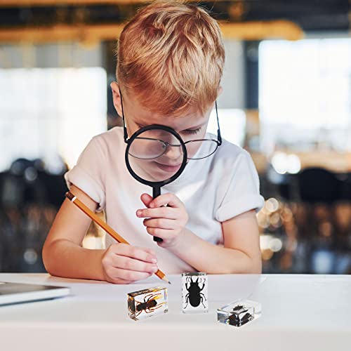12 Pcs Insect Specimens for Kids Bug Collection Kit, Insect - style: Insect