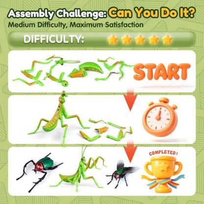 Drefirsa 8Pcs Realistic Bug Building Toy, Educational Toy for Kid Age 6+