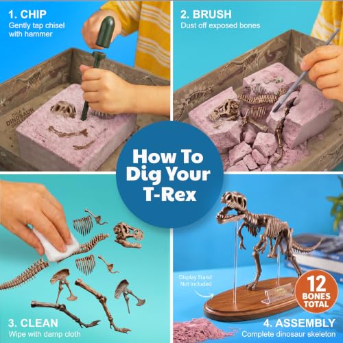 4M Tyrannosaurus Rex Skeleton Kit for Kids Ages 8-12 – T-Rex Fossil Excavation Set with 12 Realistic Bones, STEM Paleontologist Digging Kit with Hammer, Chisel & Brush, Educational Gift