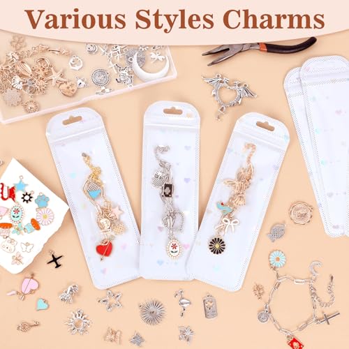 653Pcs Gold Silver Charm Bracelet Making Kit, DIY Charm Bracelet Supplies - color: 653 pcs kits