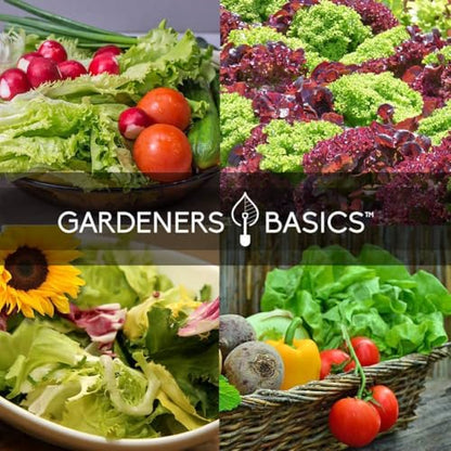 Beginner Indoor Garden Lettuce Kit - Includes Romaine, Buttercrunch Lettuces, Spinach, Arugula, and Kale Heirloom Seeds, Pots, Soils and Plant Markers - Complete Indoor Vegetable Garden Starter Kit