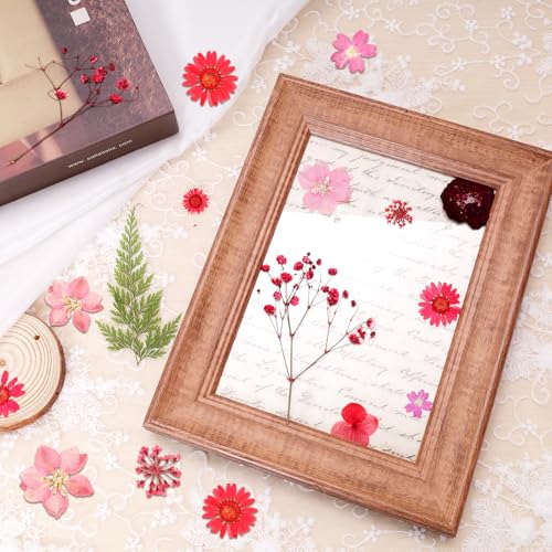 Dried Pressed Flowers Real Pressed Flowers Natural Dry Leaves Bulk Mixed Colorful Herbs Kit with Tweezers for Scrapbooking DIY Candle Jewelry Crafts Making Nails (Red) - color: Red