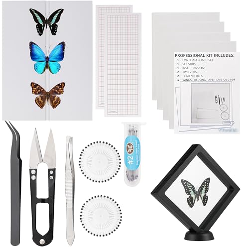 Insect Specimen Tools Kit - EVA Foam Pinning Board, Coordinate Paper, Wings Pressing Paper, Insect Pins & Butterfly Pins, Entomology Kit for Beginners & Hobbyists (PVC Display Case) - size: PVC Display Case Box Kit