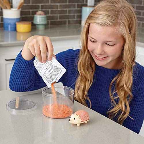 MindWare Crystal Growing Kits: Hedgehogs Warm Colors Set of 2 – Cute DIY Crystal Growing Kits for Kids & Teens – Mini Science Experiment – Crystals Grow in 24 Hours - style: Hedgehog