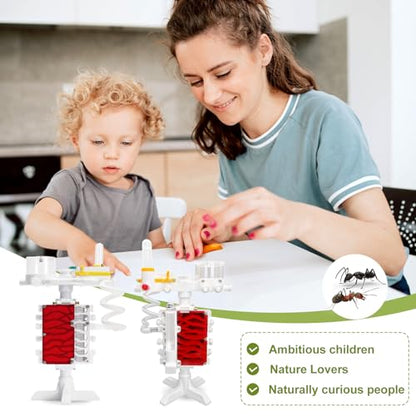 Ant Farm Castle 3D Printed Ant Farms Habitat Ant Colony for Kids, Adults, Student Acrylic Terrarium Nest with Connecting Tubes for Ant Behavior Study and Educational & Learning Science Viewing Kit