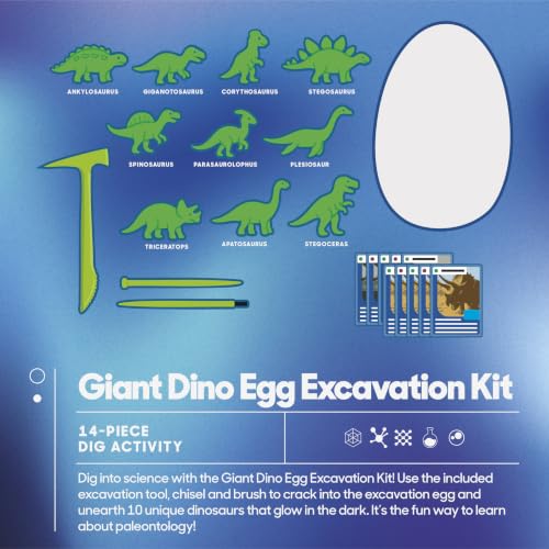 Discovery™ Giant Dino Egg Excavation Kit