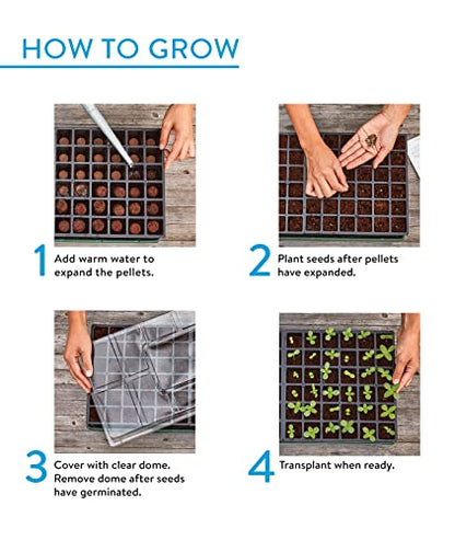 Burpee XL Self-Watering Growing System Indoor Seed Starting 10" W x 20" L x 5" H, 1 Kit (32 Cells) - color: 32 XL Cell Self Watering Kit