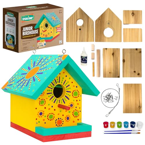 Jr Bird House Kit, DIY Cedar Wood Birdhouse for Outdoors with Paint