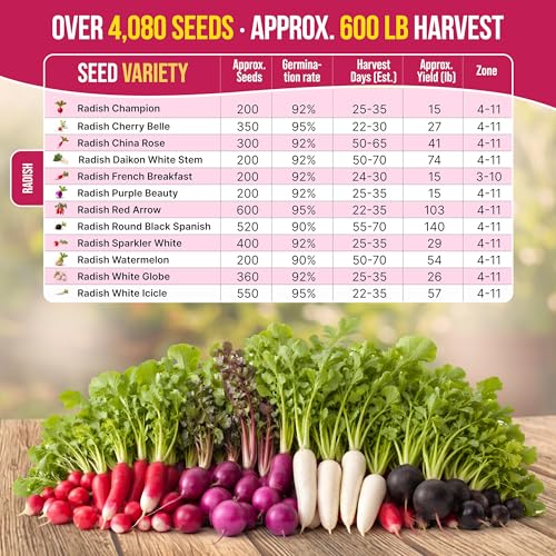 Organo Republic 12 Radish Seeds Variety Pack for Indoor & Outdoors 2400+ Heirloom Non-GMO Radish Garden Seeds: Daikon, Cherry Belle, French, Breakfast, Champion, Purple, Watermelon Radishes Seeds
