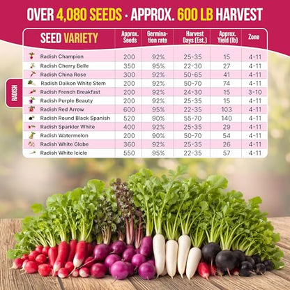 Organo Republic 12 Radish Seeds Variety Pack for Indoor & Outdoors 2400+ Heirloom Non-GMO Radish Garden Seeds: Daikon, Cherry Belle, French, Breakfast, Champion, Purple, Watermelon Radishes Seeds