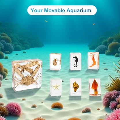 7 Marine Life Specimens Ocean Animals in Resin,Large Crab Taxidermy with Information Cards,Aquatic Insect Specimen Bug Supplies,Marine Biology Gifts,Starfish Collection Aquarium Coastal Décor (Ocean) - size: 7 Marine Life