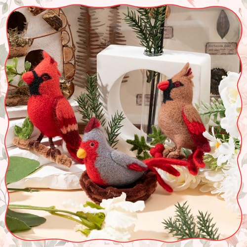 WATINC Needle Felting Kit - 3 Set Unique Different Cute Doll Wool Felt Needle Tools Foam Pad Instruction, DIY Home Decoration Craft Party Supplies for Art Work Starter Beginners (Cardinal) - style: Cardinal