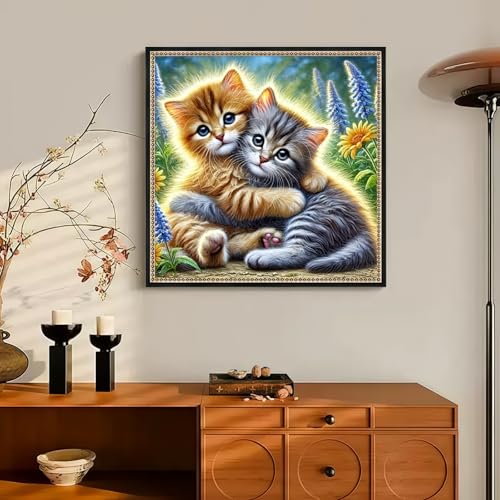 CHWGLFGG 5D Cute Cats Diamond Art Kits for Adults Beginners 13.7X 13.7 Inch - color: KM956-1