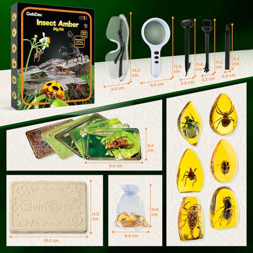 GobiDex Amber Dig Kit for Kids Ages 6+, Excavate 6 Insects Specimens