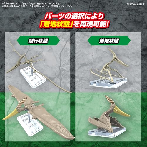 Bandai Hobby PLANNOSAURUS Pteranodon Model Making Kit - Detailed Flying Dinosaur Model Kit - DIY Simple Assembly, Collectible Action Figure - 1:32 Scale Model with Accessories