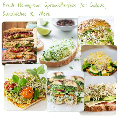 Seed Sprouting Kit & Green Onion Regrower, 2×32 Oz Wide-Mouth Mason Jars, Sprouter Lids, Stainless Steel Stand, Sprout Tray & Light Shield, Ideal for Sprouts, Broccoli, Alfalfa & Microgreens - color: Yellow + Green + Green Onion Regrower