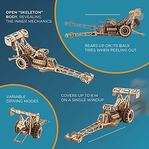 UGEARS Dragster Car Model Kit - Top Fuel Dragster Model Kits 3D Puzzle with Powerful Spring Motor - Drag Racing Model Car Kits 3D Puzzles for Self-Assembly - 3D Wooden Puzzles for Adults and Kids