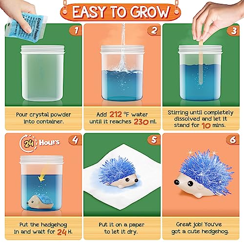 Crystal Growing Kit - 4 Vibrant Hedgehogs Fast 24H, STEM Gift for Kids 6-12 - color: 4 Hedgehog Crystal