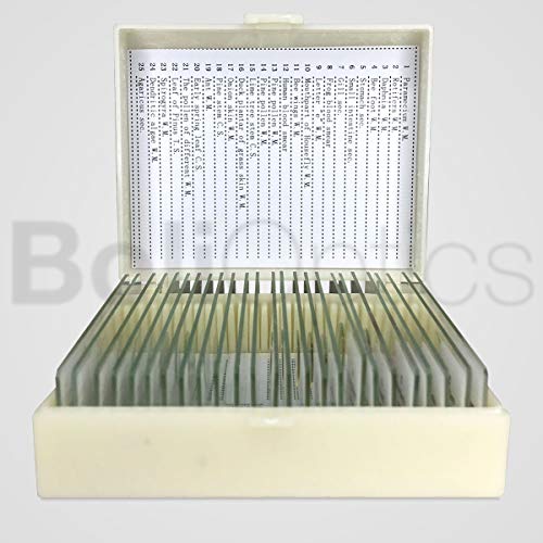 BoliOptics 25 Prepared Microscope Slides General Biology Specimen Set Plant Animal Human Anatomy Cells for Students Hobbyists Beginners Kids Homeschool, SL39901006