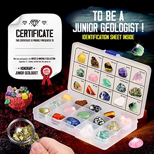 Piano Potato Rocks Collection 15 Gems Kit with ID Sheet, Geology for Kids - style: Stone Collection