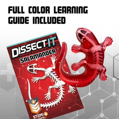 Top Secret Toys Dissect-It Mini Labs Salamander Dissection Kit for Kids, Realistic Synthetic Kids Science Kit - On, Biology and Animal Anatomy, STEM Toy, Ages 6+ - style: Mini Salamander