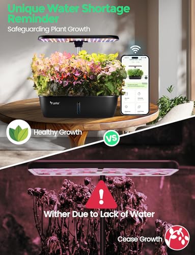 LETPOT LPH-Lite Hydroponics Growing System, 12 Pods Smart Herb Garden Kit Indoor, Indoor Garden, APP & WiFi Controlled, with 24W Growing LED, 5.5L Water Tank, Pump System, Automatic Timer - size: 12 Pods-Black