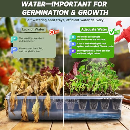 Adawook Self-Watering Seed Starter Tray, Seed Starter Kit Self Water, Germination Trays for Seed Starting with High Humidity Domes (Tray, 120 Cells)