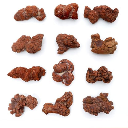 DANCING BEAR Authentic Coprolite (Fossilized Poop!), Velvet Bag and Description Card, Great Genuine Fossil Gift for Kids and Adults