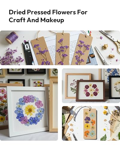 Dried Flowers, Resiners 100Pcs Pressed Flowers for Craft Purple Real Natural Dried Flowers Dry Leaves Kit for DIY Making Crafts Resin Soap Candle Scrapbook Supplies Card Making Jewelry - color: Violet 100pcs
