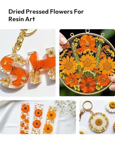 Dried Flowers, Resiners 100Pcs Fall Pressed Flowers for Craft Real Natural Dried Flowers Dry Leaves Kit for DIY Making Crafts Resin Soap Candle Scrapbook Supplies Card Making Jewelry - color: Fall Color 100pcs