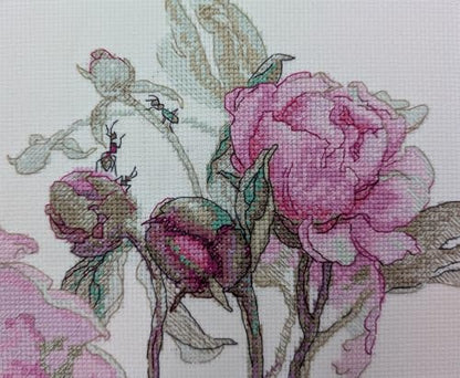 Aine A1009 Peonies. Delight Counted Cross Stitch Kit 7 x 6 in - size: Peonies. Delight