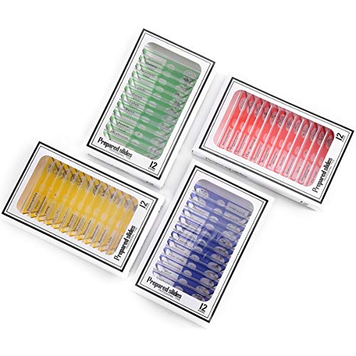 48pcs Plastic Prepared Microscope Slides - size: 48pcs