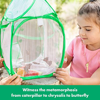 Educational Insights GeoSafari Jr. Butterfly Bungalow, Science Kit with Live Caterpillars, Home & Classroom Insect Habitat, Raise & Release Your Own Butterflies, STEM Gift for Kids Ages 4+