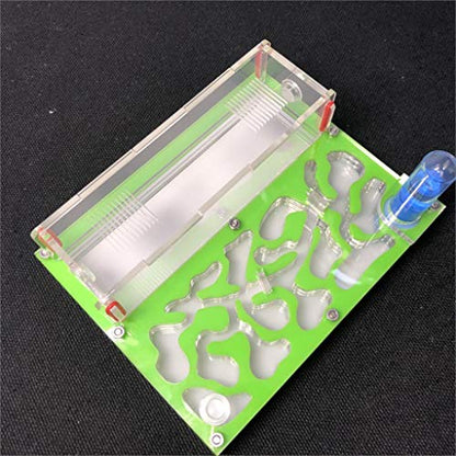 ANT 150mmx110mm Test Tube Moisture Big Space Nest Farm Acrylic, Insect Villa House Ecological Workshop (Green) - color: green