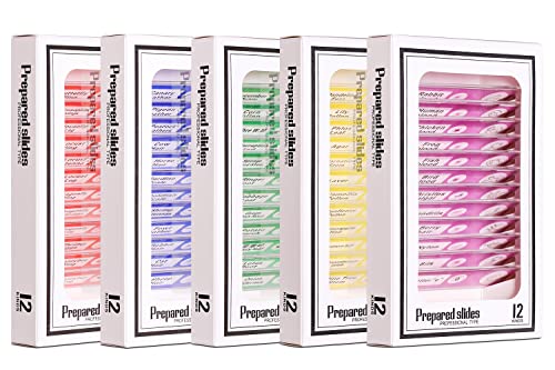 Prepared Plastic Microscope Slides with Specimens for Kids, Microscope Sample Slides Full Range of Animal/Plant/Insect/Blood Biology Slides Gift Set for Kids Microscope (60PCS) - color: 60PCS