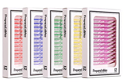 Prepared Plastic Microscope Slides with Specimens for Kids, Microscope Sample Slides Full Range of Animal/Plant/Insect/Blood Biology Slides Gift Set for Kids Microscope (60PCS) - color: 60PCS