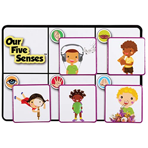 LEARNING ADVANTAGE Our 5 Senses, Learning Game for Kids Ages 3+