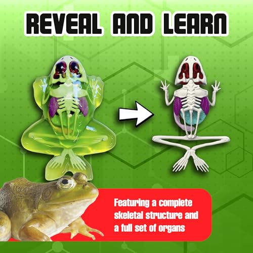 Dissect-It, Standard Frog Dissection Kit, STEM Toys for Kids, Ages 6+ - style: Frog