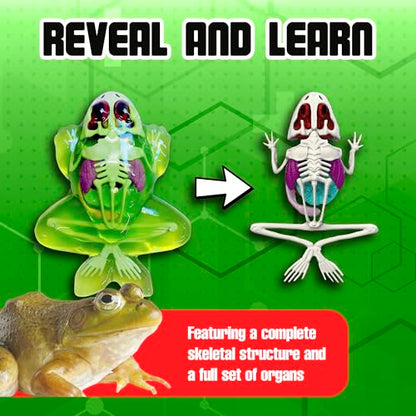 Dissect-It, Standard Frog Dissection Kit, STEM Toys for Kids, Ages 6+ - style: Frog