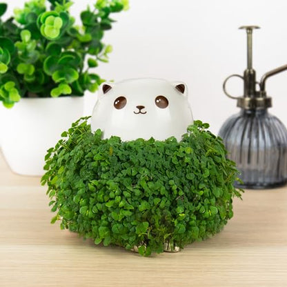 Gift Republic Cat Chia Planter Desktop Sprouting Chia Animal Fun Grow Kit - size: Cat