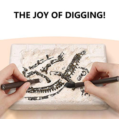 Dinosaur Fossil Digging Kit for Kids, Eggs Excavation Dig Kit, Toys for Kids 5-7 8-12, Great Birthday for Boys and Girls - style: 6 Dino Eggs+A T-Rex Head+A Dino Skeleton
