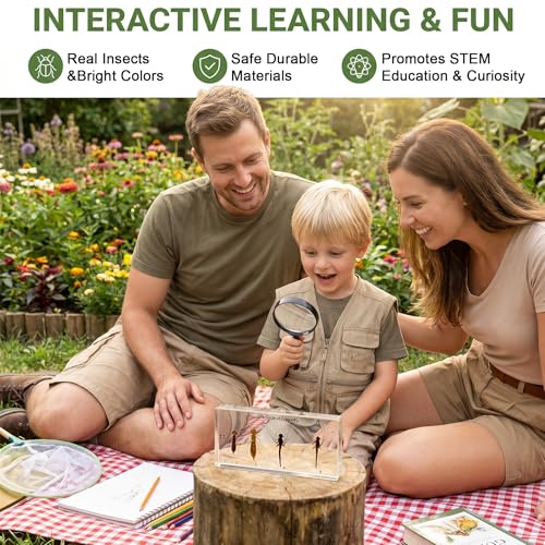 Life Cycle of Common Insect Specimen, Resin Collection Science Toys for Kids Aged 3-12 (Dragonfly) - color: Dragonfly