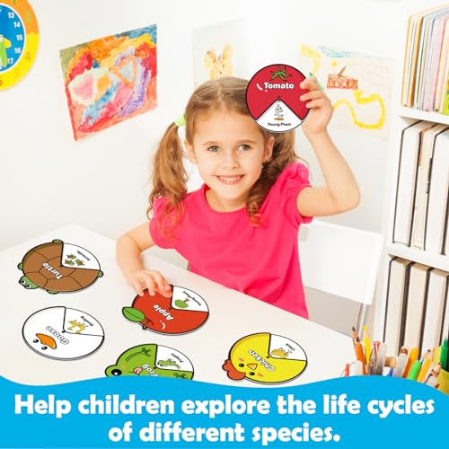 Kasfalci Life Cycle Toys for Kids,Back to School Supplies,Animal Plant Insect Bug Ladybug Butterfly Tadpole to Frog Kit,Montessori Learning & Education Toys,Preschool Science Learning Activities - style: Life Cycle